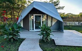 Pacific Glamp